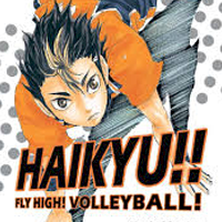 HAIKYU!! FLY HIGH