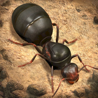 The Ants: Underground Kingdom